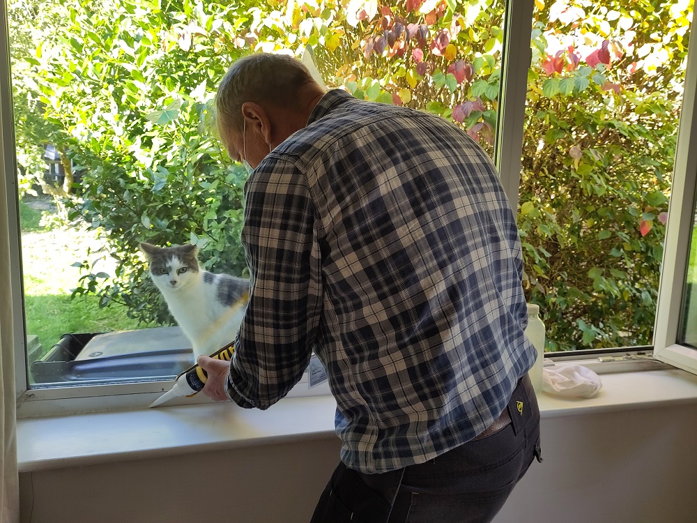 A man standing next to a window sealing the frame with silicone. A cat watches him complete this work.