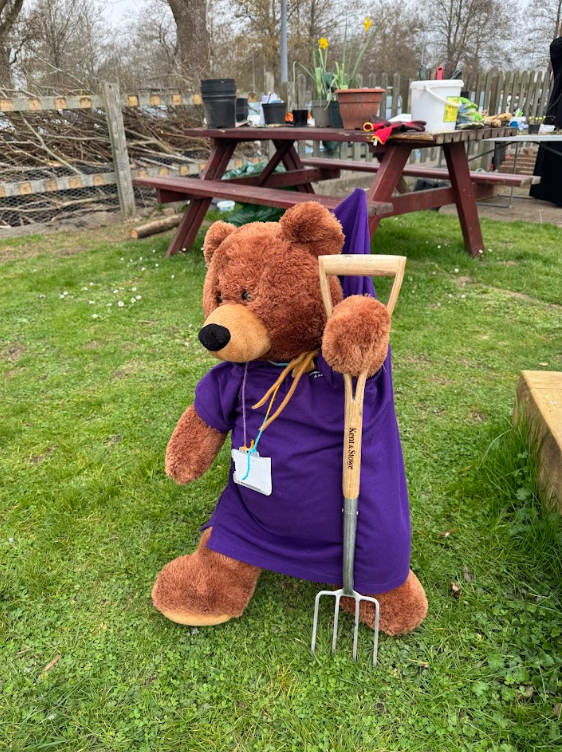 A large brown teddy bear in a purple t-shirt stands up holding a large gardening fork! It stands on green grass with a busy picnic table behind it.