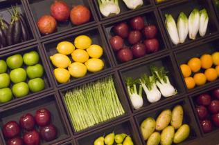 Photo of plant based food trays