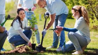 Photo of group of people planting a tree