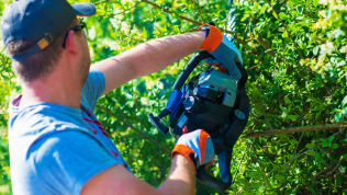 Man cutting hedge with hedge trimmer