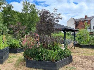A garden with multiple planter boxes full of green plants and flowers, surrounded by grass, on a sunny day.