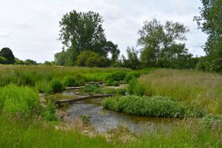 The evenlode pictured on a sunny day.