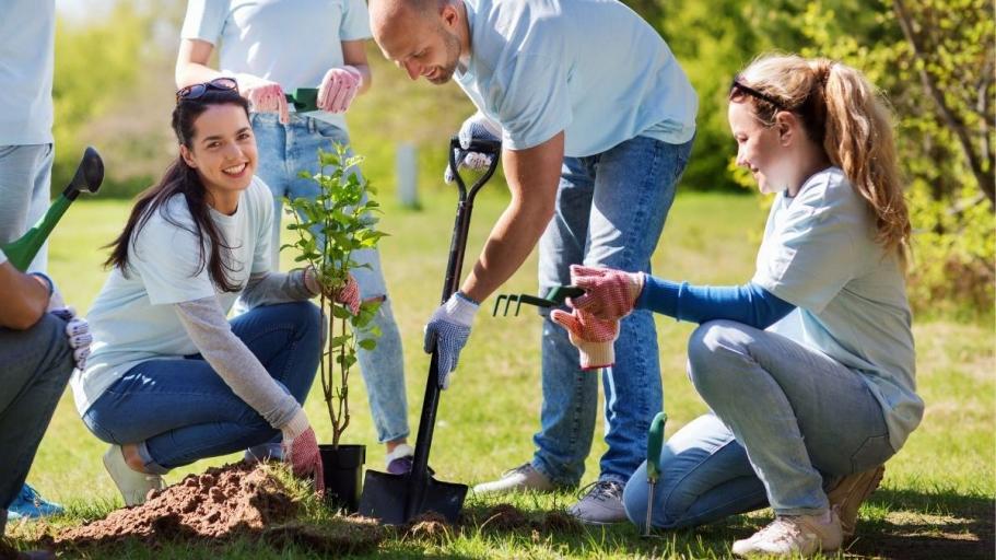 Photo of group of people planting a tree