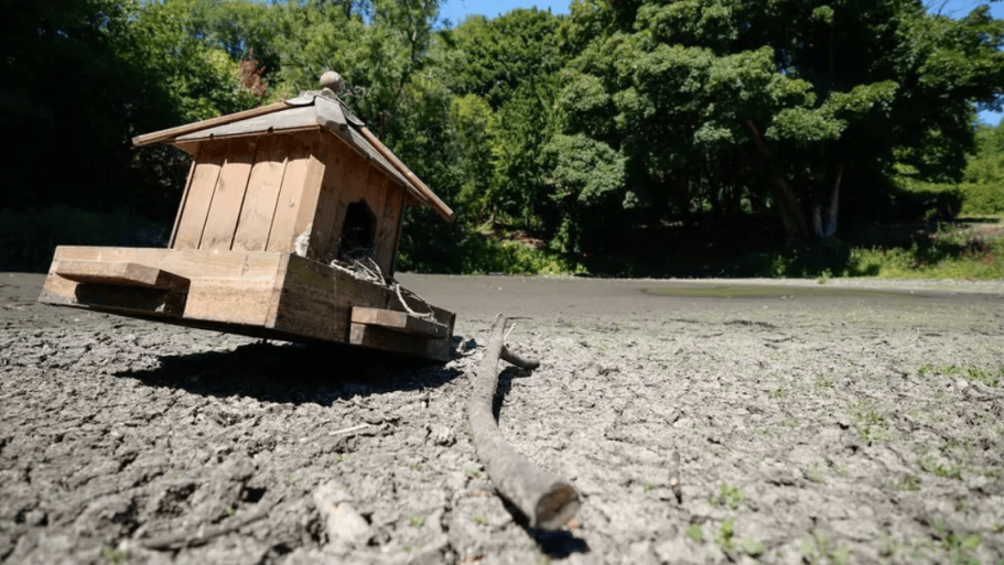 A view of bird house sitting inside a completely dried up pond.