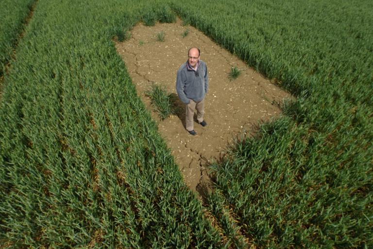 Skylark plot c Chris Gomersall