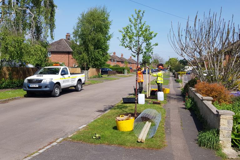 A suburban street with two young people planting a tree on the verge with a blue sky and work vehicle in the background.