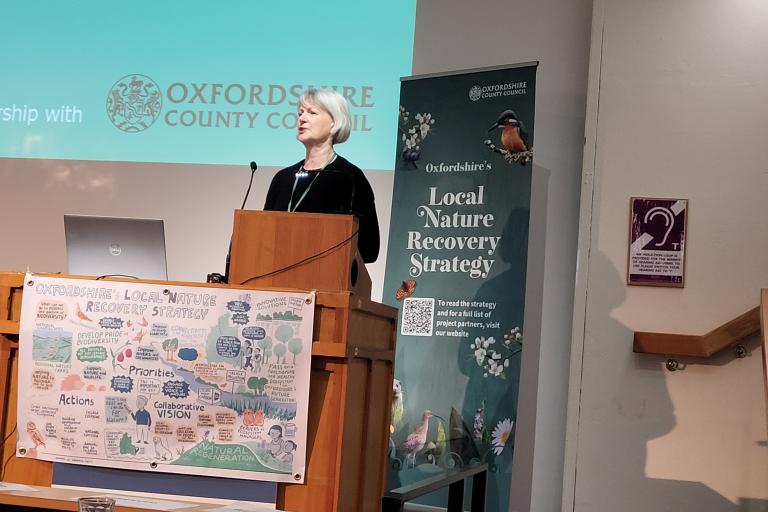 Councillor Liz Leffman standing behind a lectern presenting at the LNRS launch.  