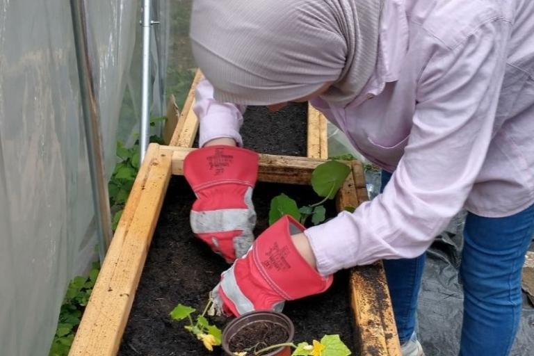 A woman wearing orange gardening gloves and planting something into a wooden planter box.