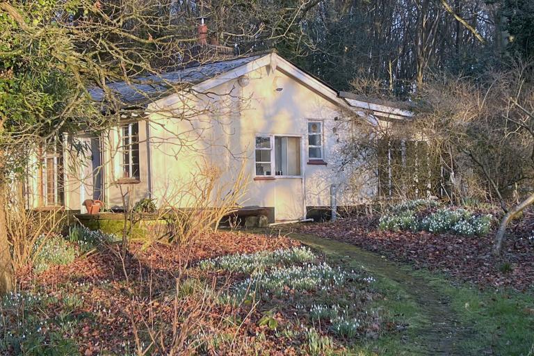 A small white cottage sits in a woodland, surrounded by trees.