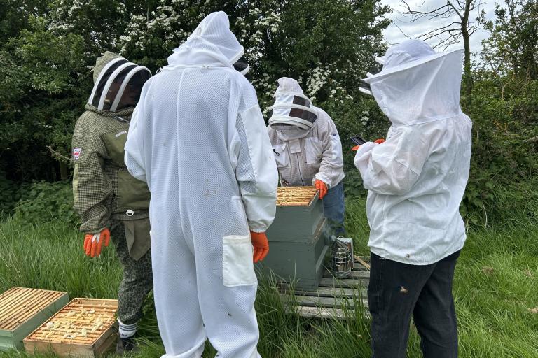 Four people in beekeeping suits stand around some bee hives in green grass.