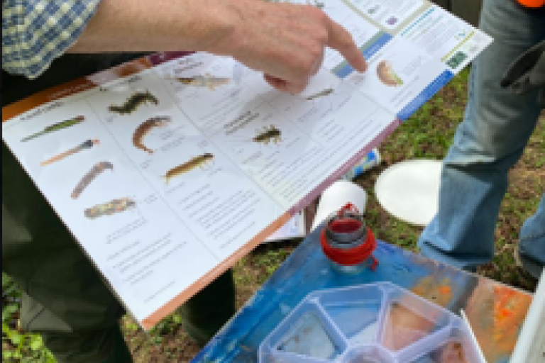 A citizen scientist wearing wellies and standing by the riverbank points at various insects on an identification chart.