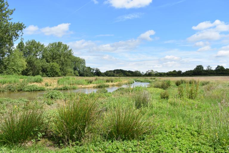 The evenlode pictured on a sunny day.