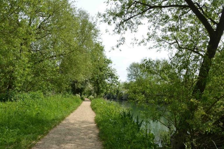 A path runs alongside the grown-up embankments by the side of a river, with tall, green trees standing to the left of the path.