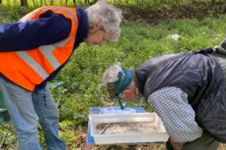 Two citizen scientists standing by a grassy riverbank examining a sample of water.