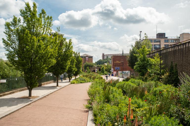 A public walkway with trees and bushes dotted along it.