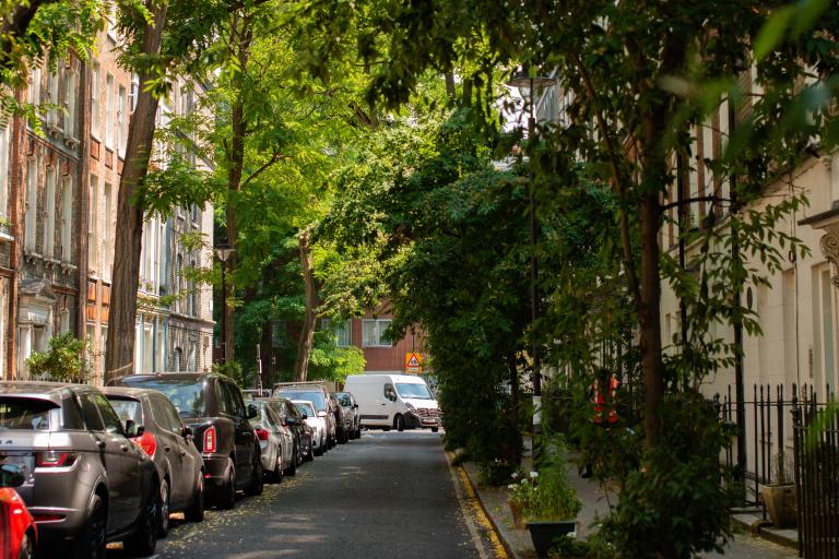 A street in London with trees dotted along it, shading the pavements.